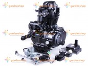 Фото - Двигун CG250/CG250-B ZONGSHEN на мотоцикл (механіка 5 передач з повітряним охолодженням, бензиновий)