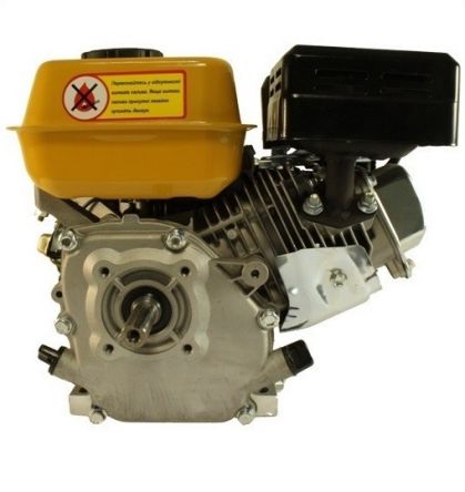 Двигатель Forte F210GS-20 цена- Фото №1