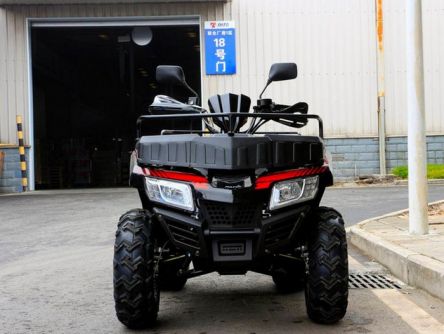 Фото - Квадроцикл Rato ATV 200 Premium- Фото №3