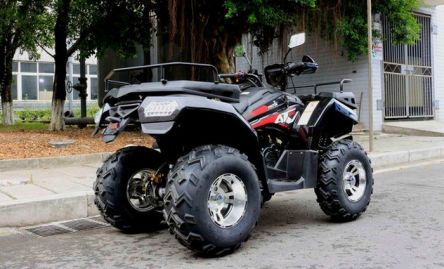 Фото - Квадроцикл Rato ATV 200 Premium- Фото №8