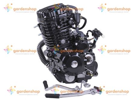 Двигатель CG300 на мотоцикл (L170ММ с водяным охлаждением, бензиновый) цена- Фото №1