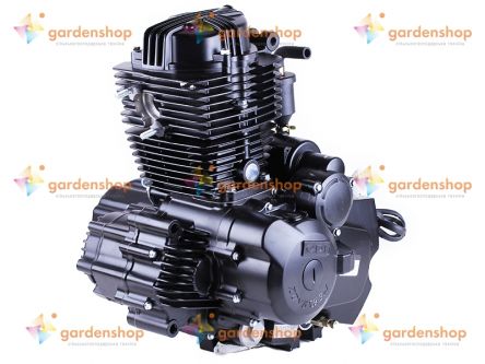 Двигун CG250/CG250-B ZONGSHEN на мотоцикл (механіка 5 передач з повітряним охолодженням, бензиновий) цена- Фото №1