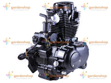 Двигун CG250/CG250-B ZONGSHEN (MD-020)- Фото №2